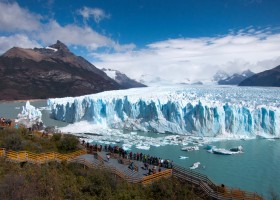 Calafate