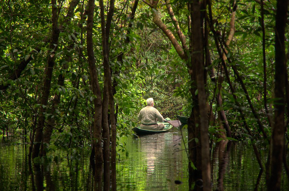 Anavilhanas Jungle Lodge