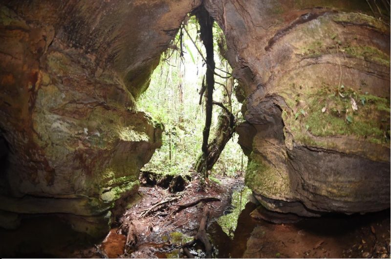 Anavilhanas Jungle Lodge