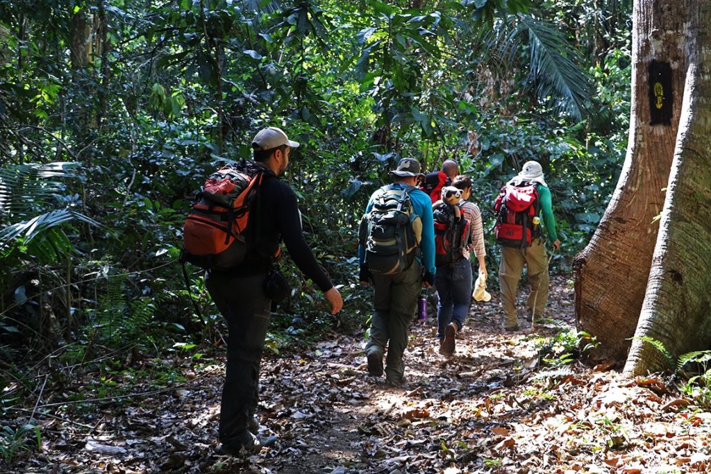 Anavilhanas Jungle Lodge