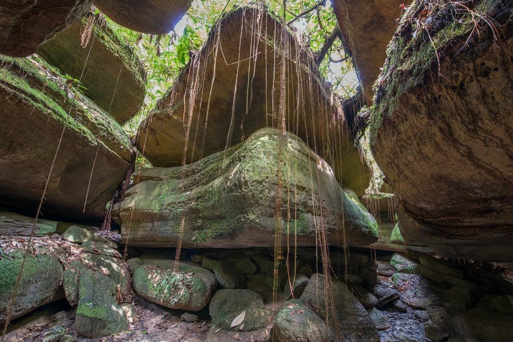 Anavilhanas Jungle Lodge
