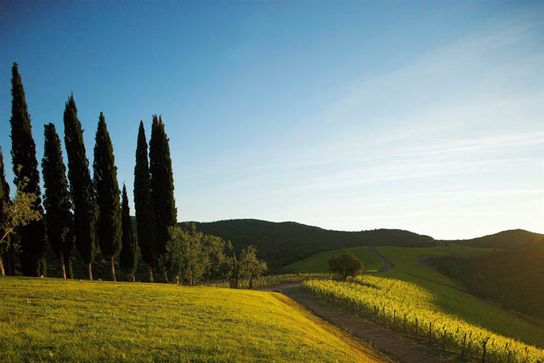 Castiglion del Bosco