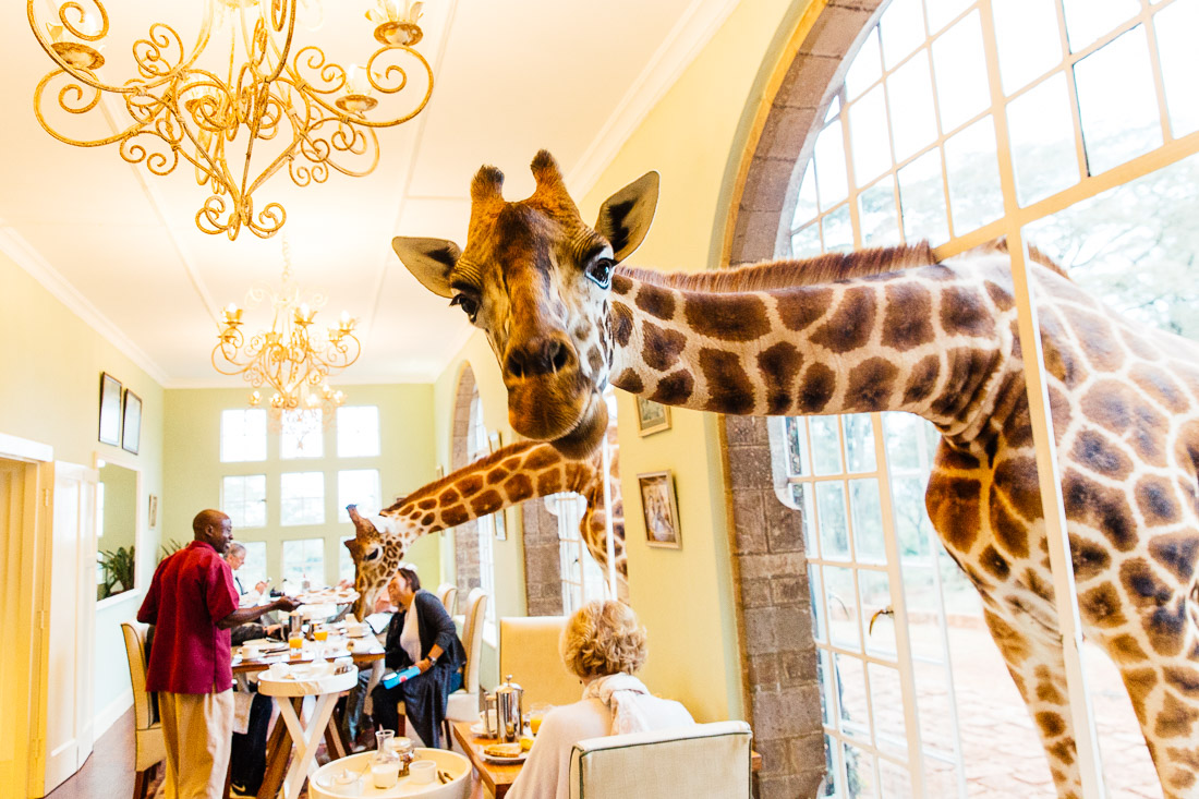 Giraffe Manor