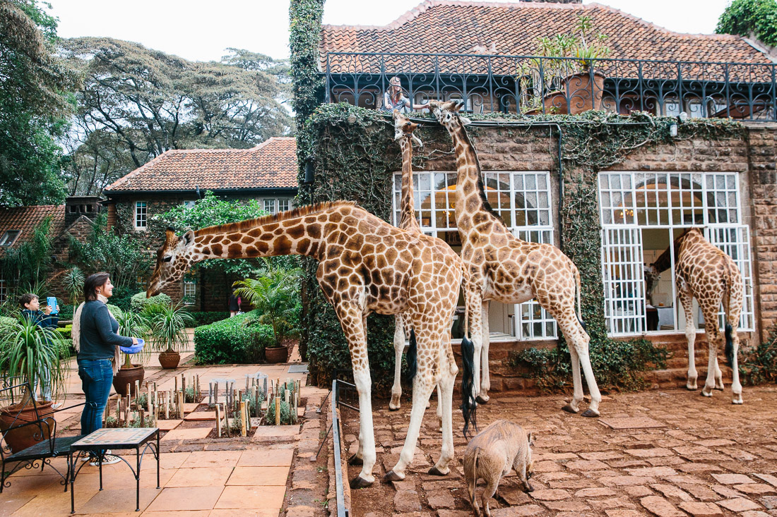 Giraffe Manor