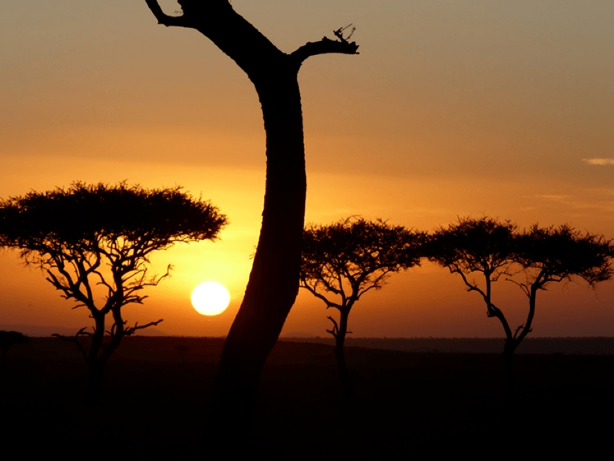 Singita Mara River Tented Camp