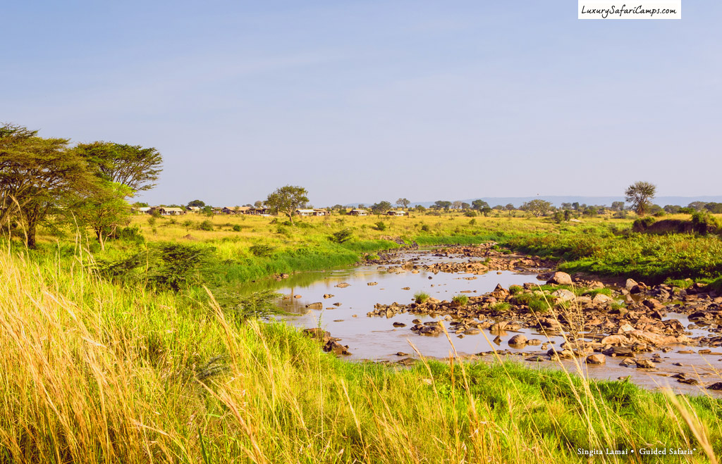 Singita Mara River Tented Camp