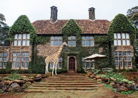 Giraffe Manor