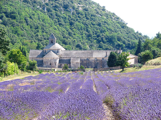 A Descoberta da Provence