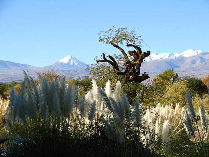 Atacama Clássico