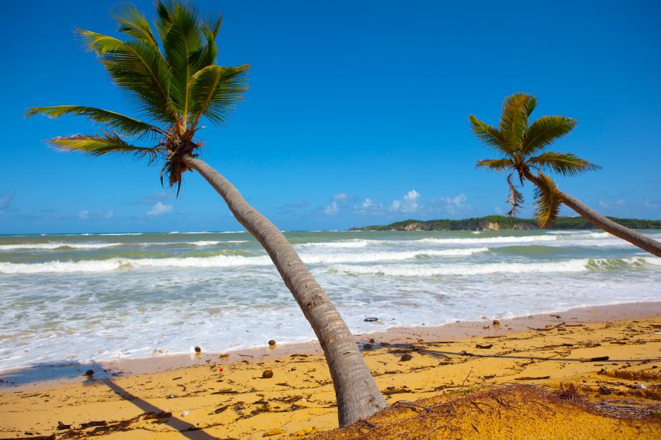 Férias de Julho em Punta Cana