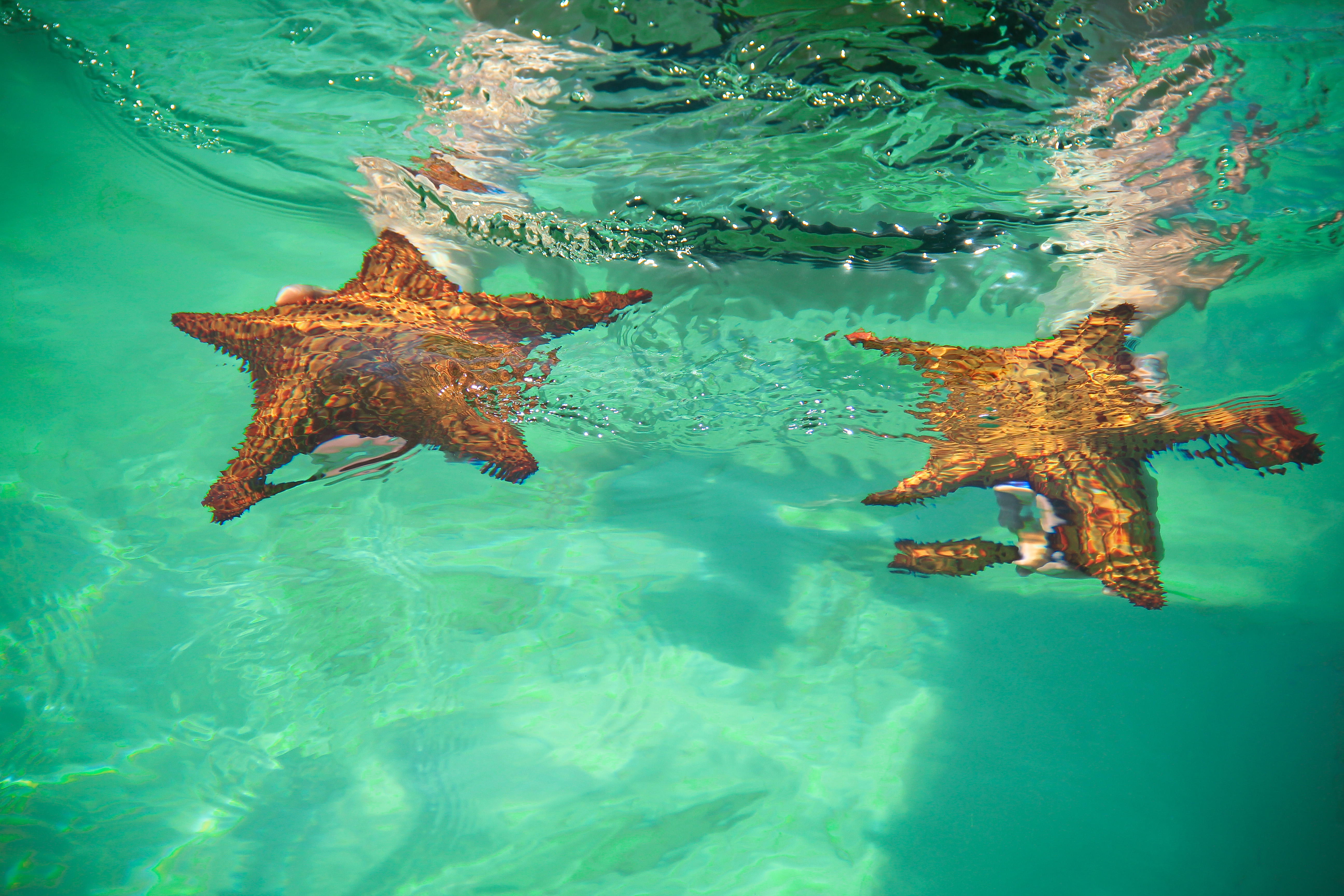 Férias de Julho em Punta Cana