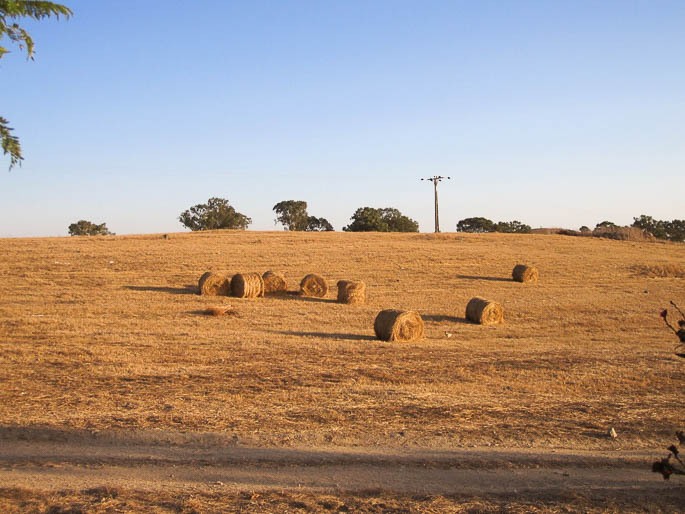 Lisboa, Ribatejo & Alentejo