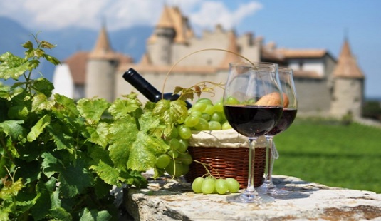 Os sabores da Borgonha e da Provença