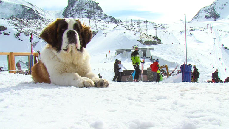 Ski em Zermatt