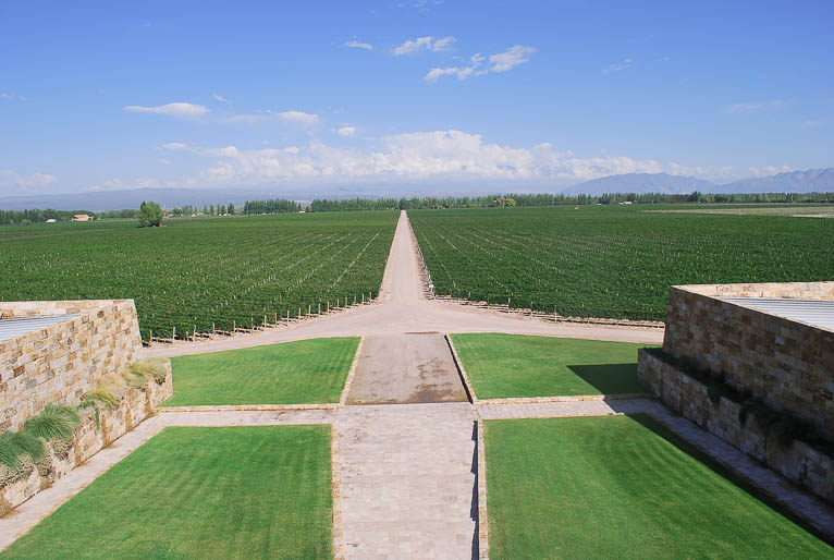 Vinhos do Chile e Argentina