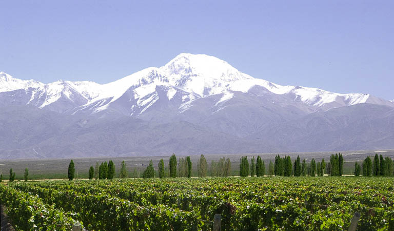 Vinhos do Chile e Argentina