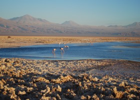 Santiago com Deserto do Atacama