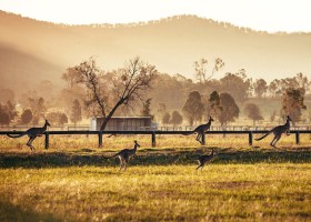 Paisagens e vinhos na Austrália