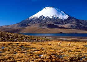 Atacama Clássico